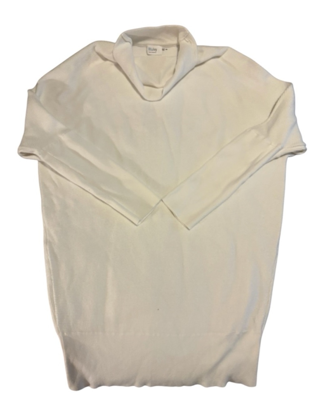 Bluivy Cream Ribbed Turtleneck Sweater